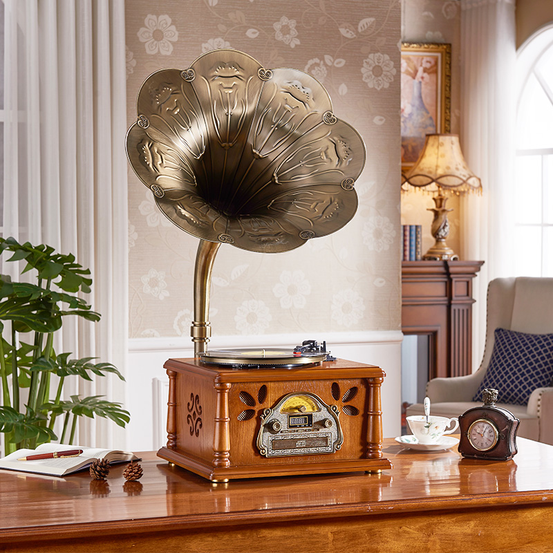 Vinyl Record Player
